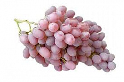 Виноград Тайфи вес Таджикистан