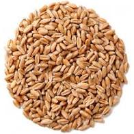 Крупа Хлебопродукт 500г пшеница для проращивания *18