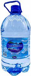 Вода Гонжинская 5л н/газ*2